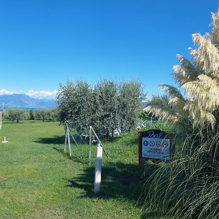 Agriturismo Al-Bor Lazise Ngoại thất bức ảnh