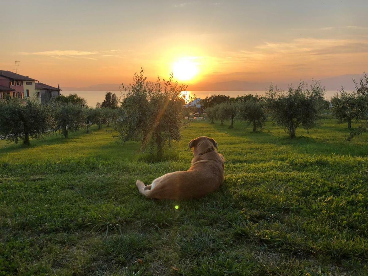 Agriturismo Al-Bor Lazise Ngoại thất bức ảnh